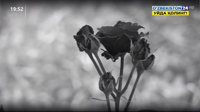 История Зульфии Закировой смотреть онлайн