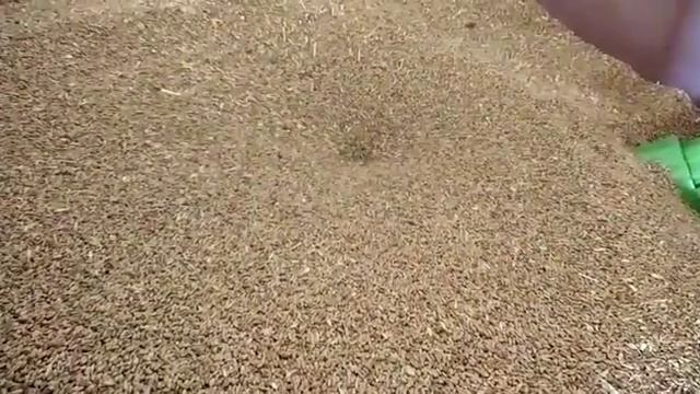 Работа Роторной Пневматической зернодробилки Агра смотреть онлайн