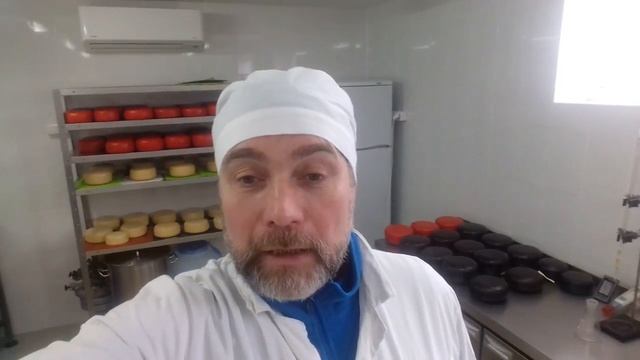 Где созревает Донской сыр смотреть онлайн