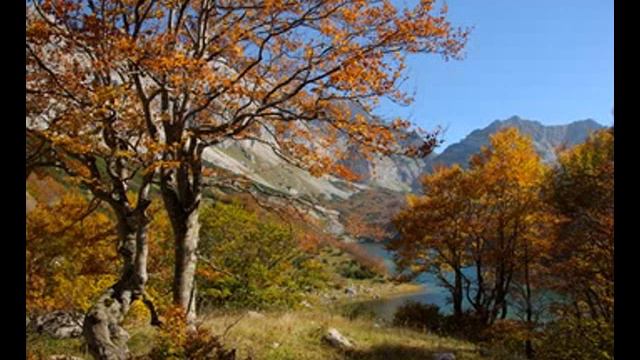 Durmitor-izvorne pjesme uz gusle(izvorna grupa Stara Hercegovina) смотреть онлайн