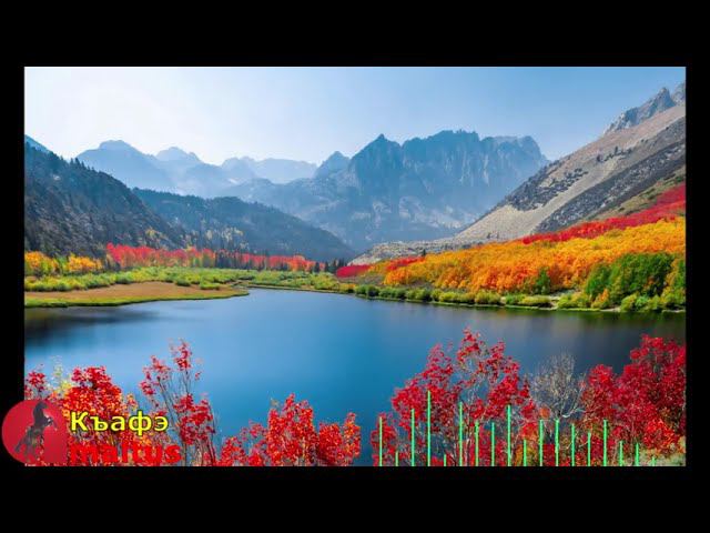 Къафэ смотреть онлайн