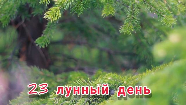 О Лунных днях. 23-ий лунный день. смотреть онлайн