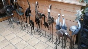 Ботанический магазин во Франции. Цены на растения и семена.