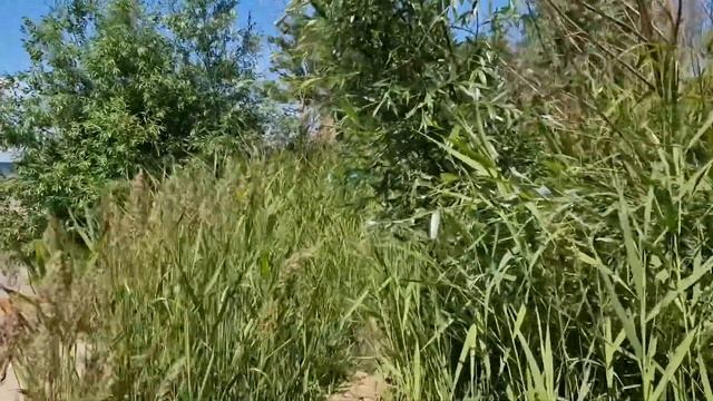 По левому берегу Жигулевского моря смотреть онлайн