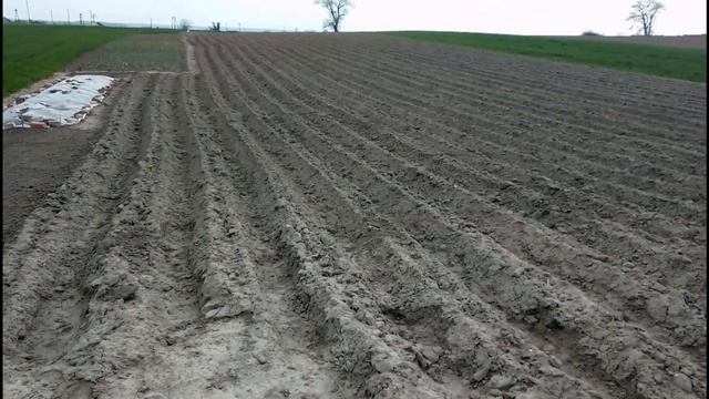 Комплекс робіт після посадки картоплі 2022р. смотреть онлайн