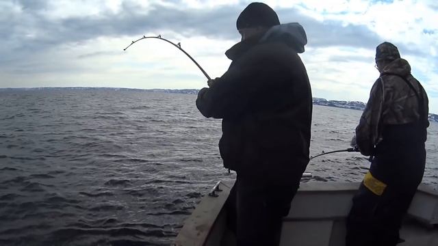 Рыбалка на Кольском! Fishing In Russia! Печень трески и почка Титаныча!