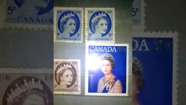 Какой ответ на вопрос о каком-нибудь