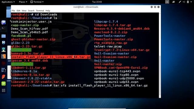 Downloading And Installing Flash Player In Kali Linux смотреть онлайн