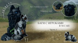 БАГИ С ИГРОКАМИ В WC:UE! | Баг с котёнком на голову? | Warrior Cats: Ultimate Edition