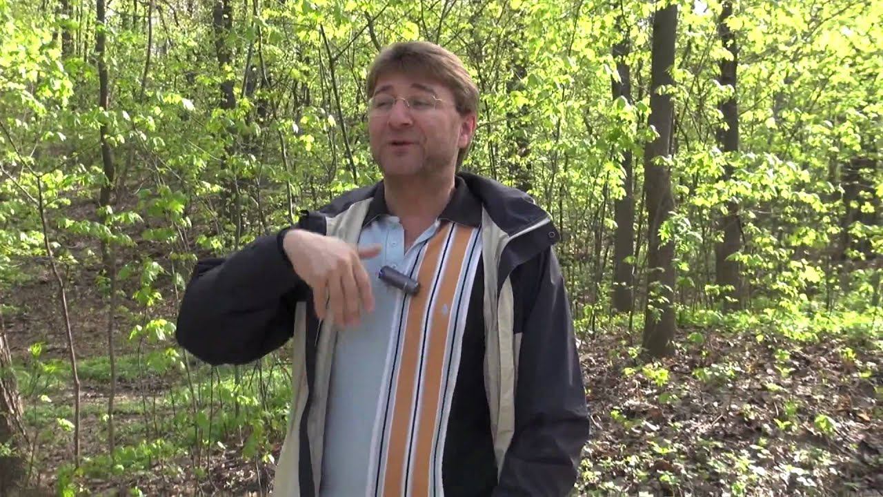 Магия Архетипов 1 | Практики успеха от Сергея Змеева смотреть онлайн