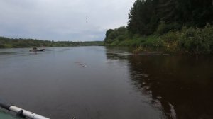 Рыбалка на Вятке.  Большие Стерляги.