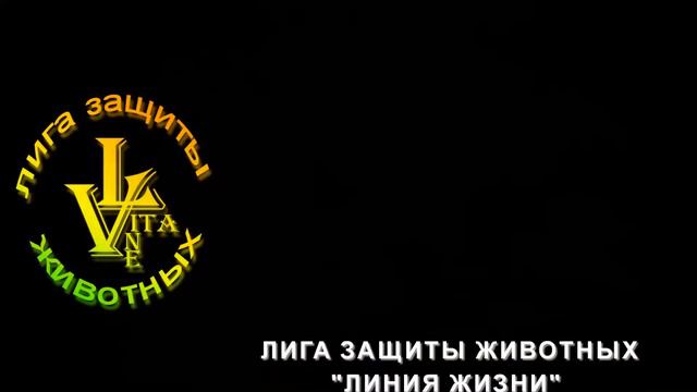 vita-test смотреть онлайн