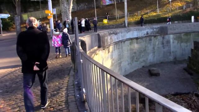 Русские медведи в Швейцарии. смотреть онлайн