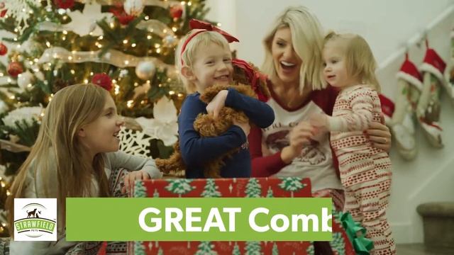 Christmas and Puppies смотреть онлайн