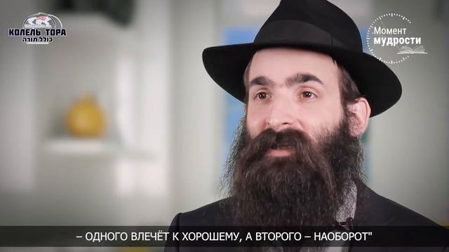 Раввин Йерахмиель Горелик | Неидентичные близнецы - "Кто я на самом деле?" смотреть онлайн
