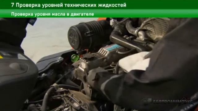 7 Проверка уровня технических жидкостей в автопогрузчике смотреть онлайн
