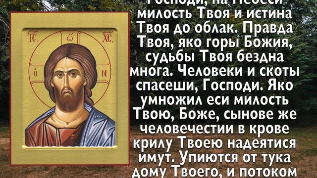 ВСЕГО 30 СЕКУНД! ПРОСИТЕ ЗДОРОВЬЯ И ИСЦЕЛЕНИЯ СЕЙЧАС! 3 октября - равноапостольной Феклы смотреть онлайн