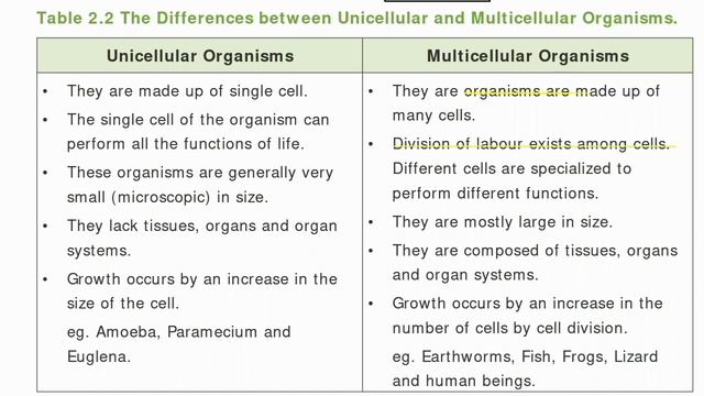 Living World of Animals | 6th std Science |Term-1 Unit-5 | Explained in tamil |TN Samacheer Kalvi смотреть онлайн