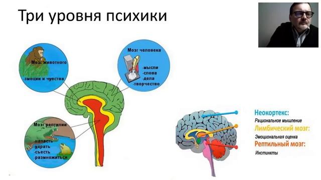 Первый вебинар онлайн-курса Николая Васильева "Преодоление конфликта" смотреть онлайн