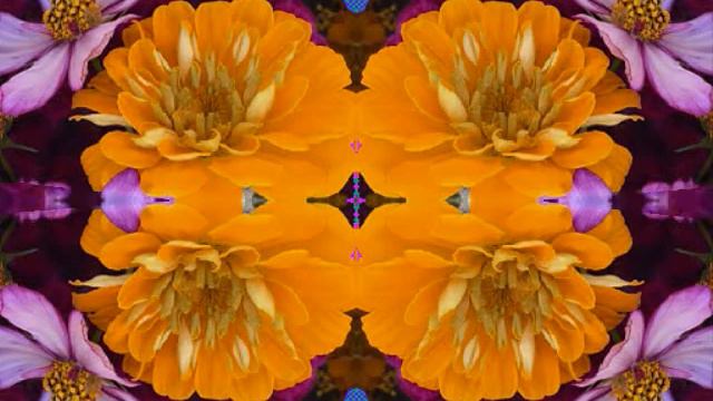 One Of These Days (by Gillian Welch and David Rawlings live in VA '99) смотреть онлайн