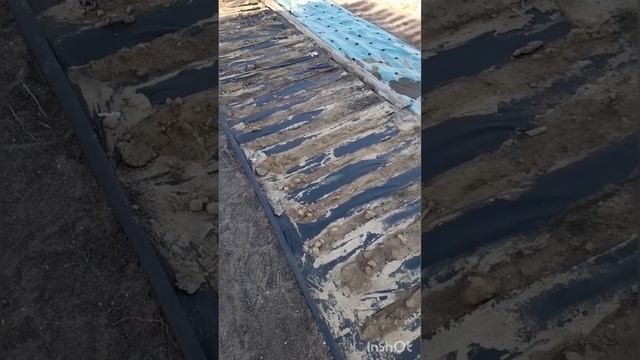 Посев Моркови на укрывной.Новый способ. смотреть онлайн
