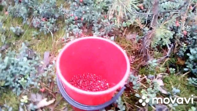 Очередные будни смотреть онлайн