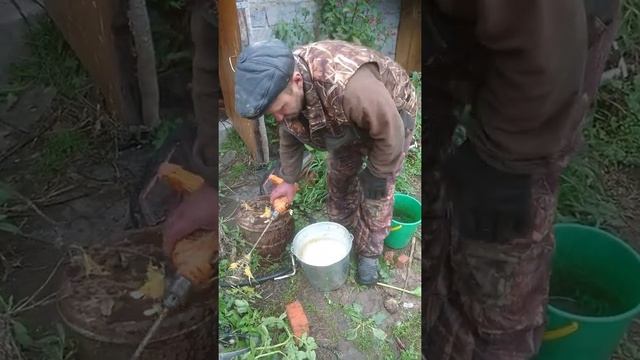 ЛайфХак как отделить семечки тыквы от мякоти смотреть онлайн