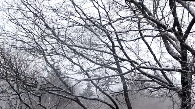 Falling Snow... А снег идет... смотреть онлайн