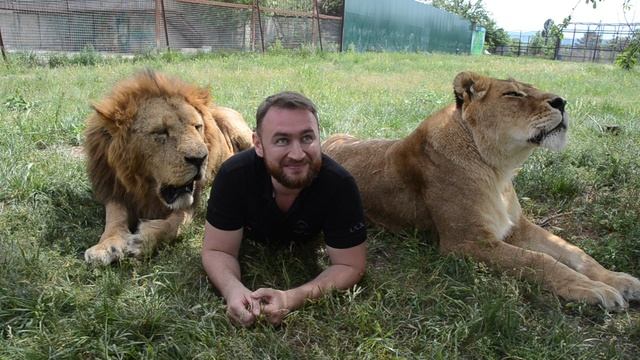 Тайган смотреть онлайн