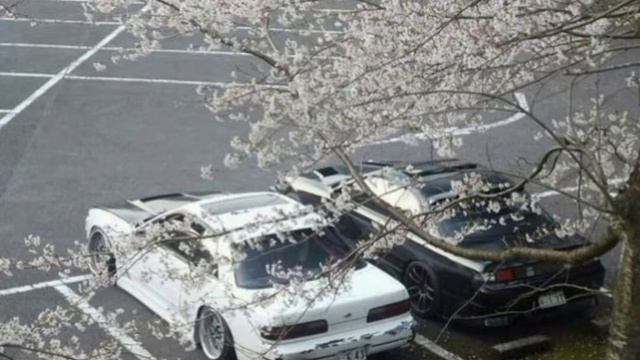 FREE FLOW FLAVA - Rise Up смотреть онлайн