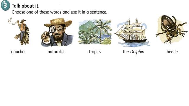 Week 5 Day 3 Unit 4 Lesson 4 Online Teaching - Past Perfect; Consolidation смотреть онлайн