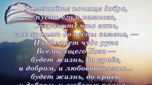 Подбирайте слова не спеша... Владимир Зыбкин.