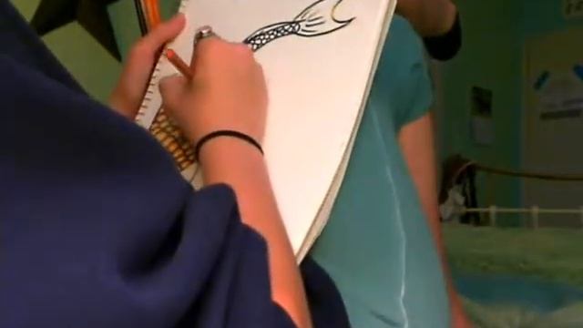 coi fish sketch смотреть онлайн