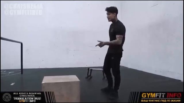 Отжимания от пола смотреть онлайн