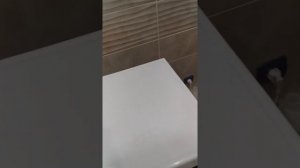 отзыв о тирет для стиральных машин стоит ли брать?