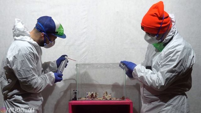 БОРЬБА ТАРАКАНОВ С ДИХЛОФОСОМ. СКОЛЬКО НУЖНО ВРЕМЕНИ?! смотреть онлайн