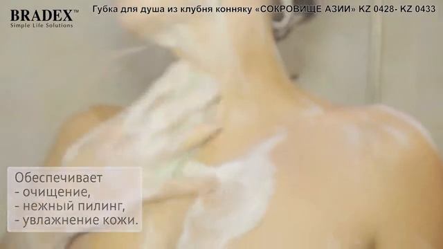 Губка для душа конняку Bradex