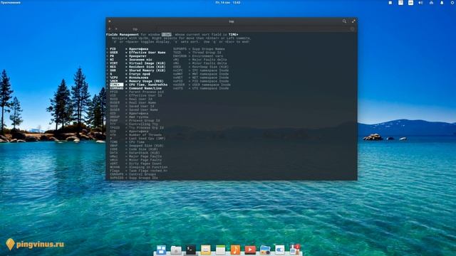 Top - таск менеджер. Программы для Linux смотреть онлайн