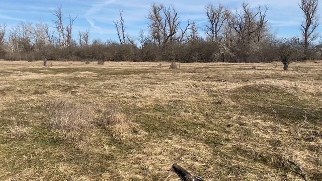 Продается участок 6,5 cоток ИЖС назначение в п. Заречный - АН "Риелтория" смотреть онлайн