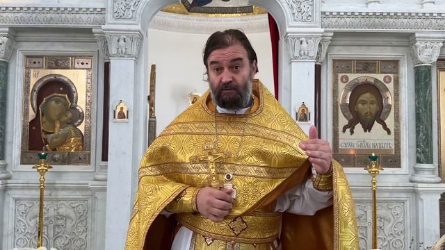 Протоиерей Андрей Ткачёв - Люди ищут себе наставников (2024.07.11) смотреть онлайн