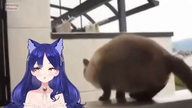 Снежа сливает инфу о русских втуберах ? #снежа #ruVtuber #ManaRenewal