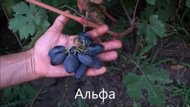 Строительный Рейтинг