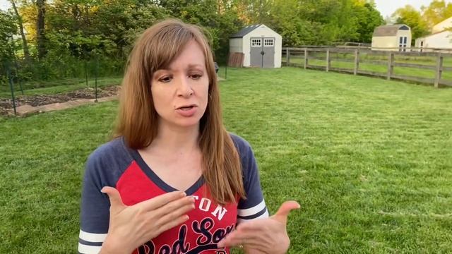 How to handle cicadas / tips, hacks and advice/ brood X / 2021 смотреть онлайн