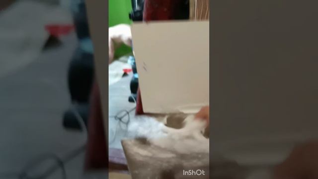 Denkmit Teppich- und Polsterreiniger для очистки оббивки м'яких меблів та килимів. смотреть онлайн