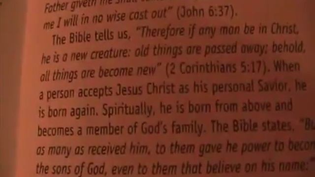 Little Red Book смотреть онлайн