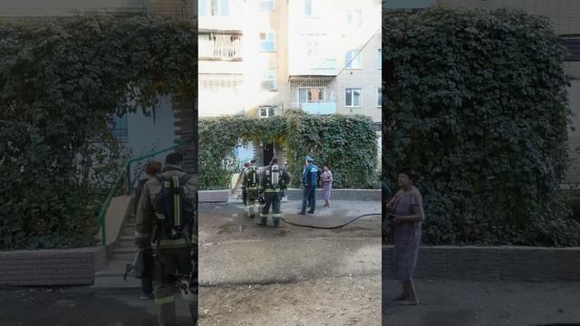 Пожар Савушкина 36 Дом Природы VID 20221019 150139 смотреть онлайн