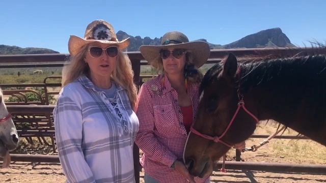 What Women Are Saying About The Life-Changing Unbridled Retreat смотреть онлайн
