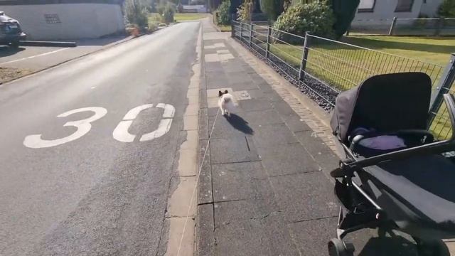 Влог:Наши Будни после родов/Почему назвали Дочь Мишель смотреть онлайн