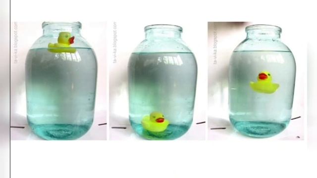 Интересный факт: 