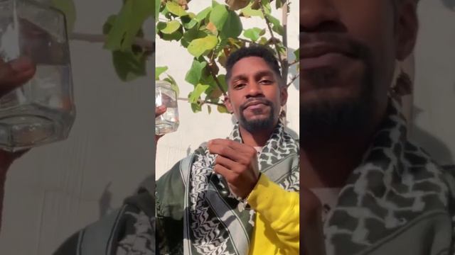 Gemini Full Moon Teaches us to Think w/ Feelings смотреть онлайн